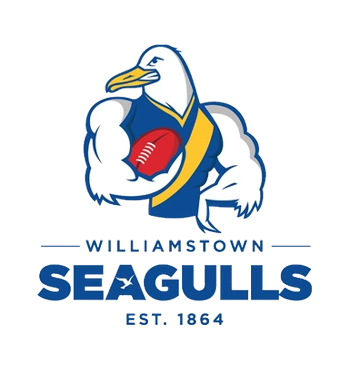 View Williamstown Seagulls